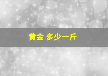 黄金 多少一斤